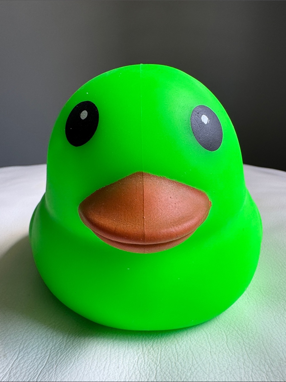 Jumbo Duck Squeezy Squishy Sunny Days Toy New TikTok Viral Green SHIPS TODAY!
